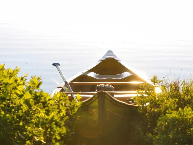 Lounge Chairs & Sofas